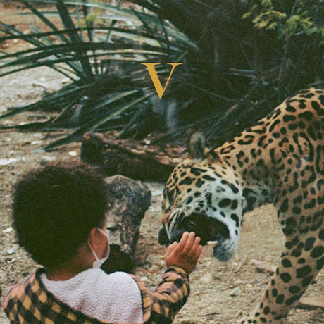 Unknown Mortal Orchestra - V (LP) - Velvet Music