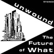 Unwound - The future of what (LP) - Velvet Music
