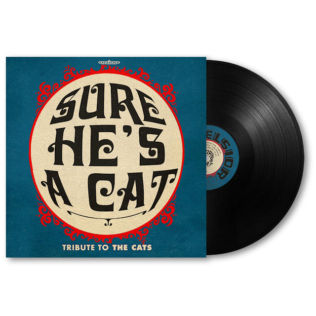 Various - Sure he's a cat (LP) - Velvet Music