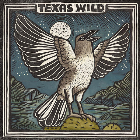 V/A (Various Artists) - Texas wild (LP) - Velvet Music