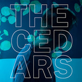 John Vanderslice - Cedars (LP)