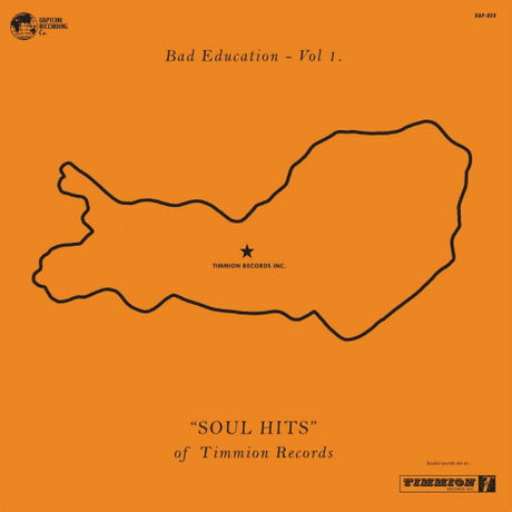 V/A (Various Artists) - Bad education (CD)