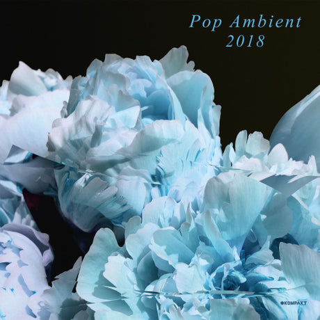 V/A (Various Artists) - Pop ambient 2018 (LP) - Velvet Music