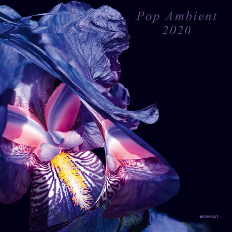 V/A (Various Artists) - Pop ambient 2020 (LP) - Velvet Music