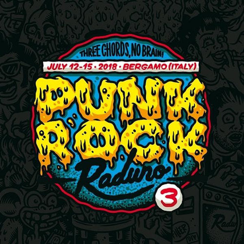 V/A (Various Artists) - Punk rock raduno vol.3 (LP) - Velvet Music