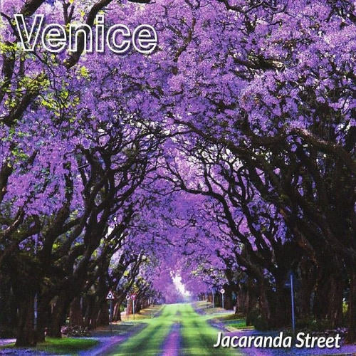 Venice - Jacaranda street (CD) - Velvet Music