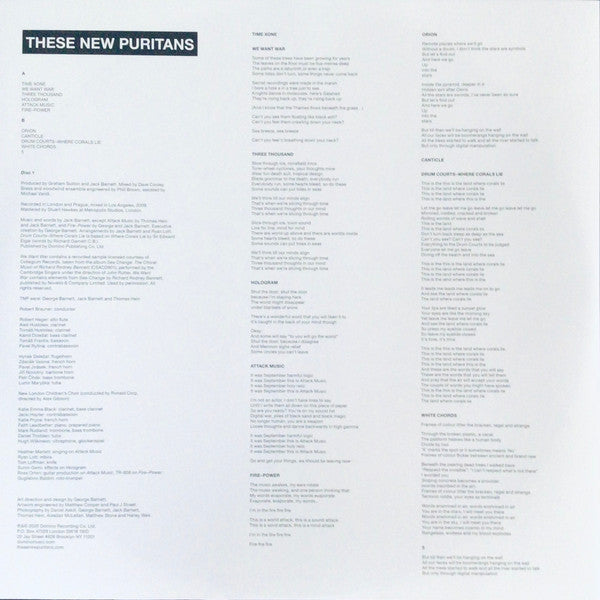 These New Puritans - Hidden (LP)