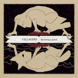 Villagers - Becoming a jackal (LP) - Velvet Music