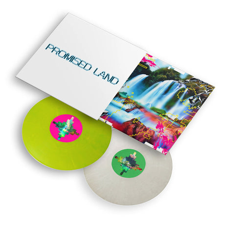 Vintage Culture - Promised land (LP)