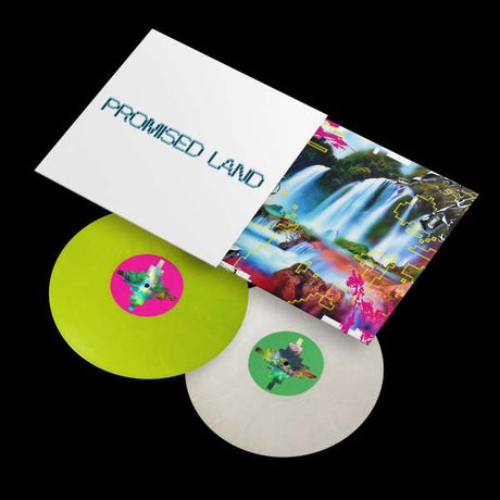 Vintage Culture - Promised land (LP)