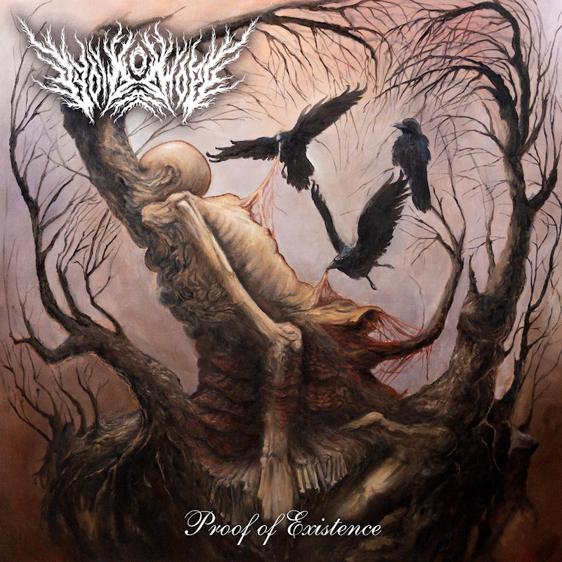 Void Of Hope - Proof of existence (CD) - Velvet Music