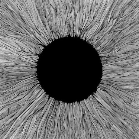 Vola - Witness (LP) - Velvet Music