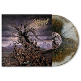 Vulvodynia - Entabeni (LP) - Velvet Music