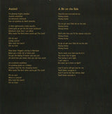 Veils, The - Total Depravity (tweedehands CD) - Velvet Music