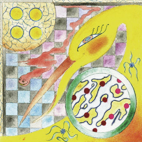 Wand - Perfume (LP) - Velvet Music