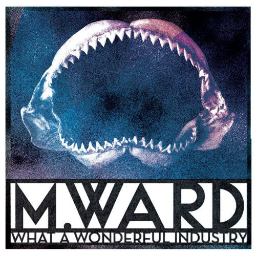 M. Ward - What a wonderfull industry (LP) - Velvet Music