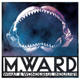 M. Ward - What a wonderfull industry (LP) - Velvet Music