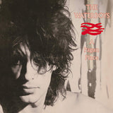 Waterboys - A pagan place (CD) - Velvet Music