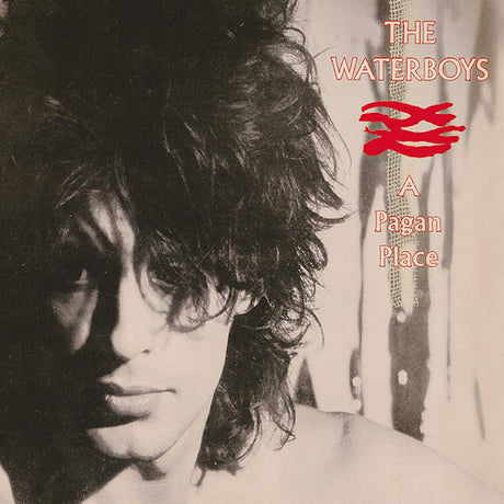 Waterboys - A pagan place (CD) - Velvet Music