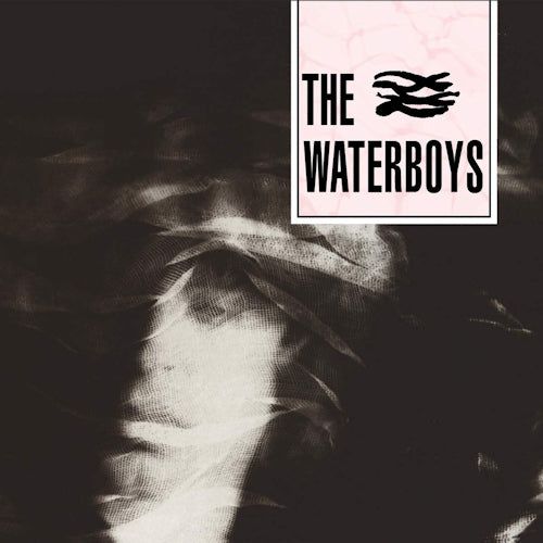 Waterboys - Waterboys (CD) - Velvet Music