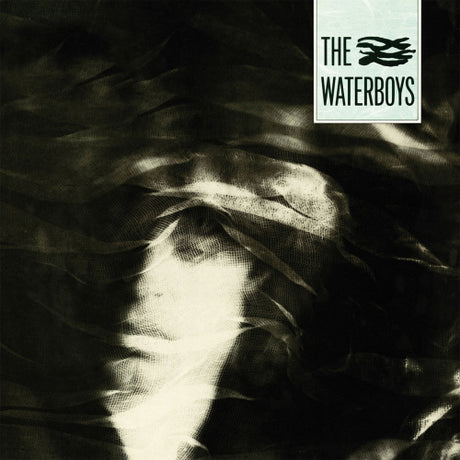 Waterboys - Waterboys (CD) - Velvet Music