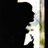 Paul Weller - Wild wood (LP) - Velvet Music