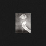 White Flowers - Day by day (LP)