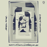 Matthew E. White /lonnie Holley - Broken mirror: a selfie reflection (LP) - Velvet Music