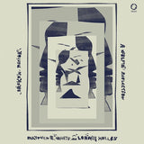 Matthew E. White /lonnie Holley - Broken mirror: a selfie reflection (LP) - Velvet Music