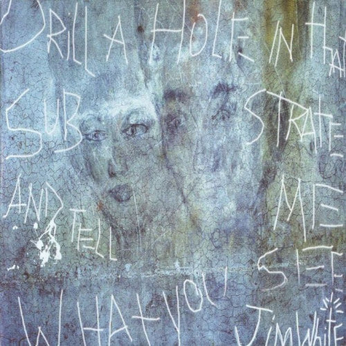 Jim White - Drill a hole in that substrate and tell me what you see (CD)