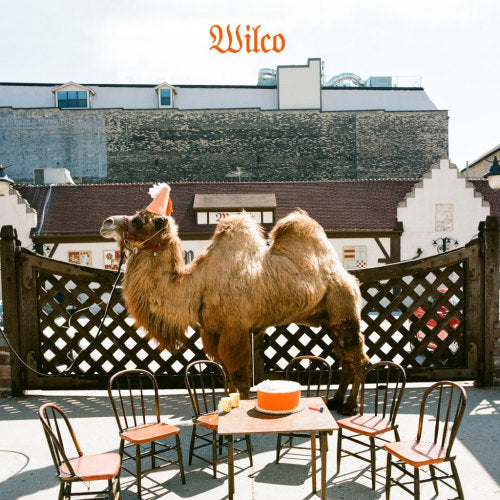 Wilco - Wilco (the album) (LP)