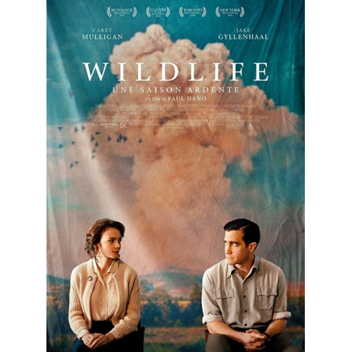 Movie - Wildlife (DVD movie)