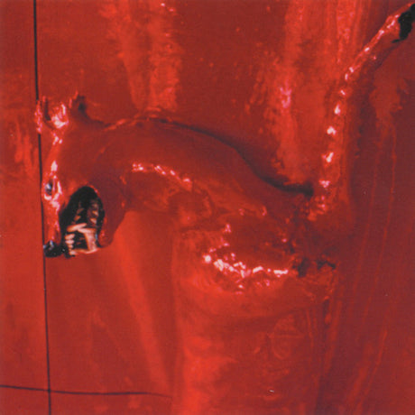 William Basinski - A red score in tile (CD) - Velvet Music