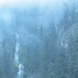 Wolves In The Throne Room - Diadem of 12 stars (CD) - Velvet Music