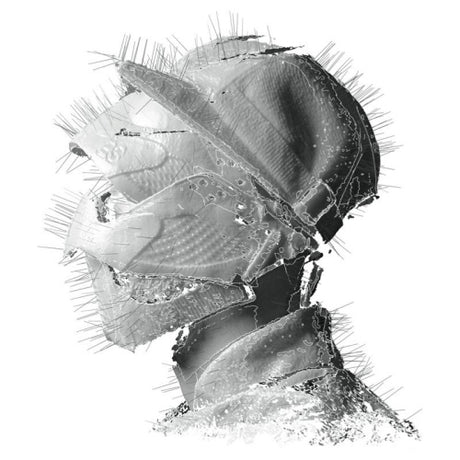 Woodkid - Golden age (CD) - Velvet Music