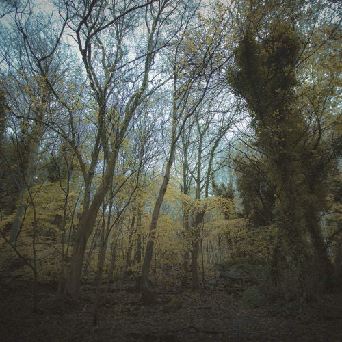 Worriedaboutsatan - Time lapse (CD)