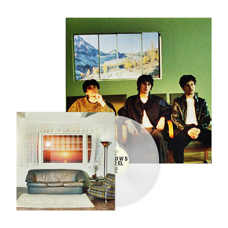 Wallows - Model (LP) - Velvet Music