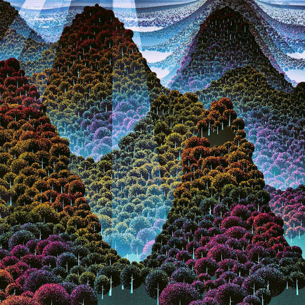 Wang Wen - 100000 whys (LP) - Velvet Music