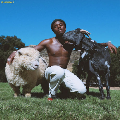Idk - Is he real? (LP) - Velvet Music