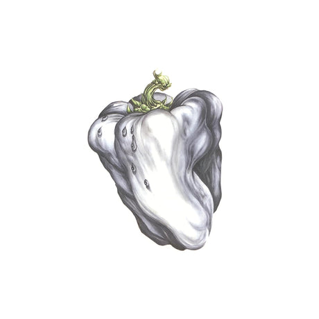 Ween - White pepper (LP) - Velvet Music