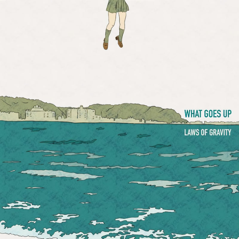 What Goes Up - Laws of gravity (LP) - Velvet Music