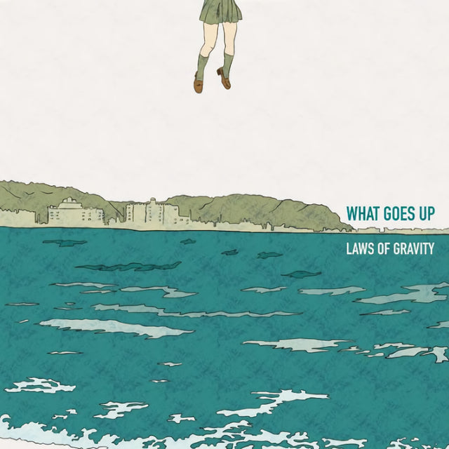What Goes Up - Laws of gravity (LP) - Velvet Music