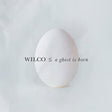 Wilco - A Ghost Is Born (LP) - Velvet Music