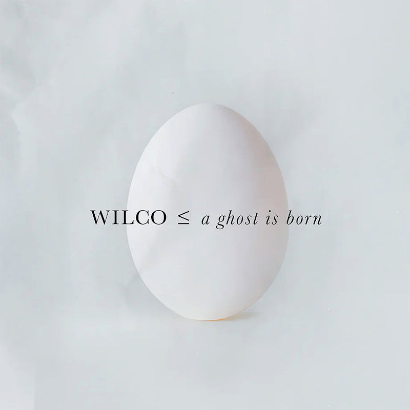 Wilco - A Ghost Is Born (LP) - Velvet Music