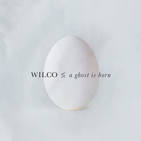 Wilco - A Ghost Is Born (LP) - Velvet Music