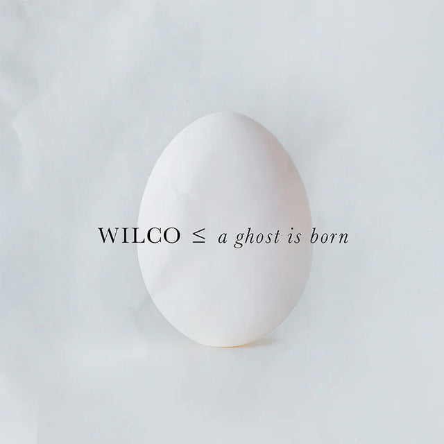 Wilco - A Ghost Is Born (LP) - Velvet Music