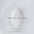 Wilco - A Ghost Is Born (CD) - Velvet Music