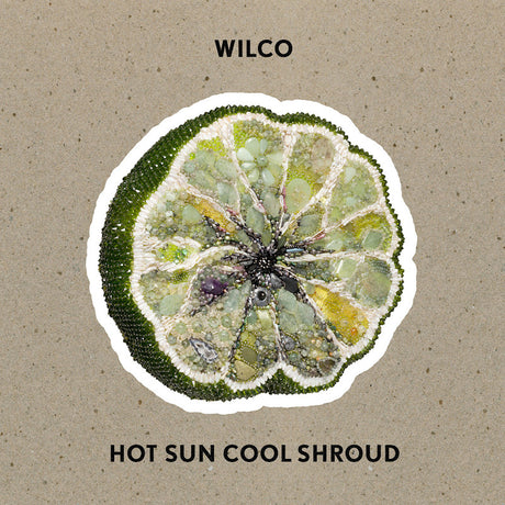 Wilco - Hot Sun Cool Shroud (CD) - Velvet Music