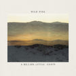 Wild Pink - A billion little lights (CD) - Velvet Music