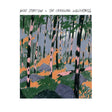 Will Stratton - Changing wilderness (LP) - Velvet Music